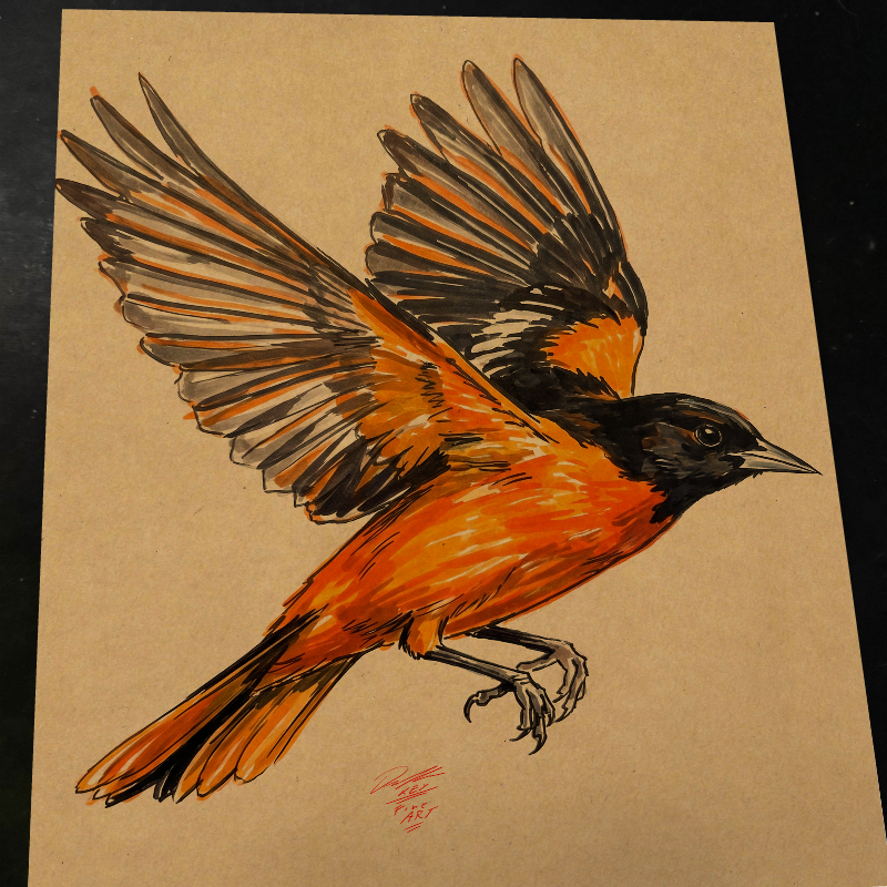 Baltimore Orioles art print by Keyeske