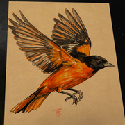 Baltimore Orioles art print by Keyeske